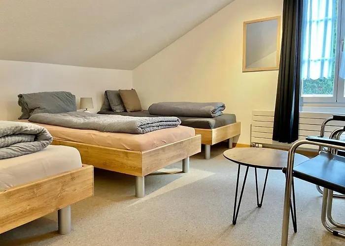 Viva Auberge de jeunesse *