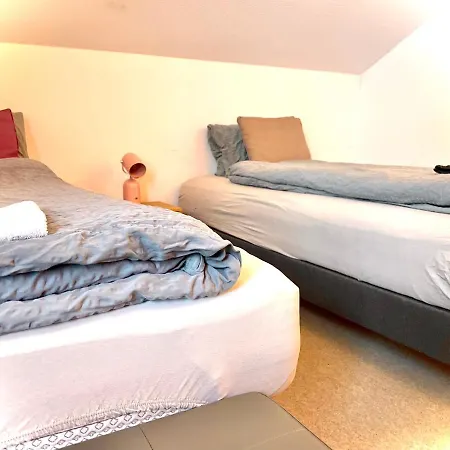 Viva Auberge de jeunesse